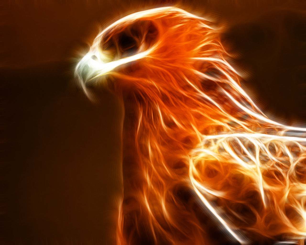 Phoenix In Hd Images And Wallpapers HD Wallpapers Download Free Map Images Wallpaper [wallpaper376.blogspot.com]