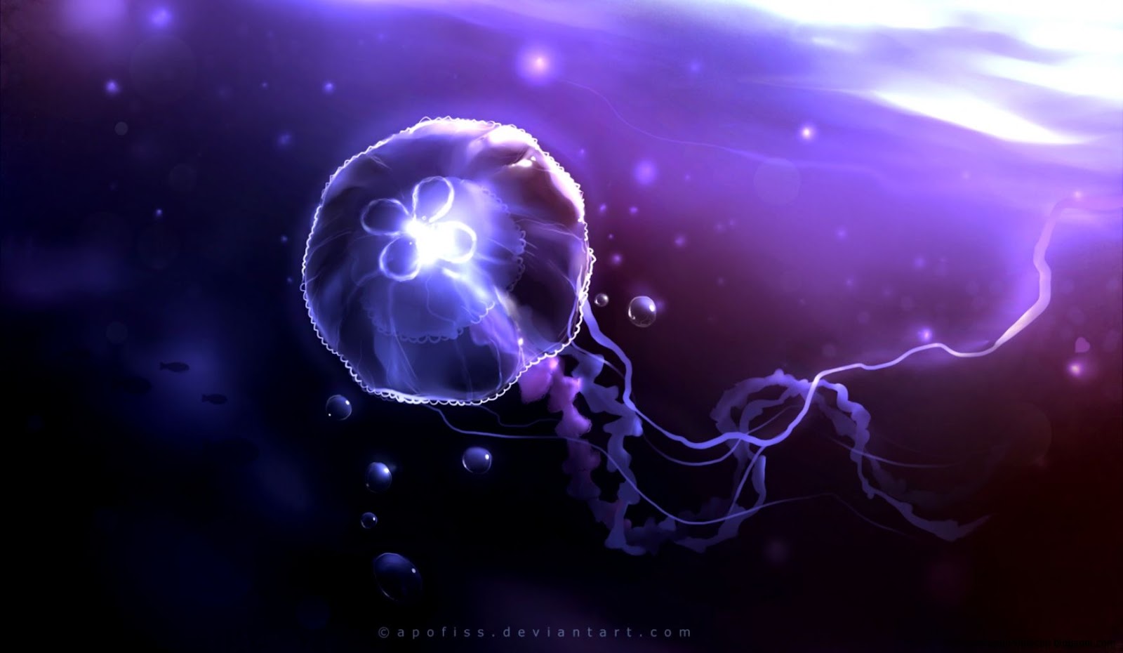 Underwater Jellyfish