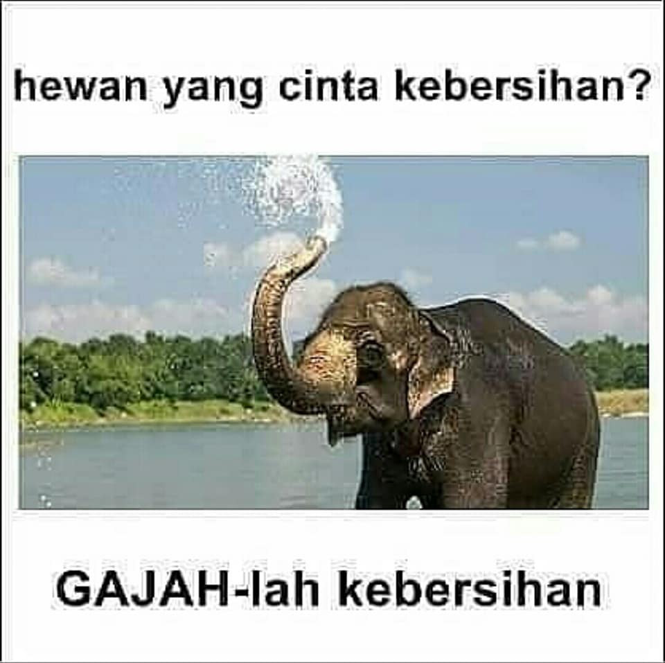 Meme Tebak Tebakan Lucu Yang Super Konyol Ayo Ketawa Gudangnya Humor Indonesia