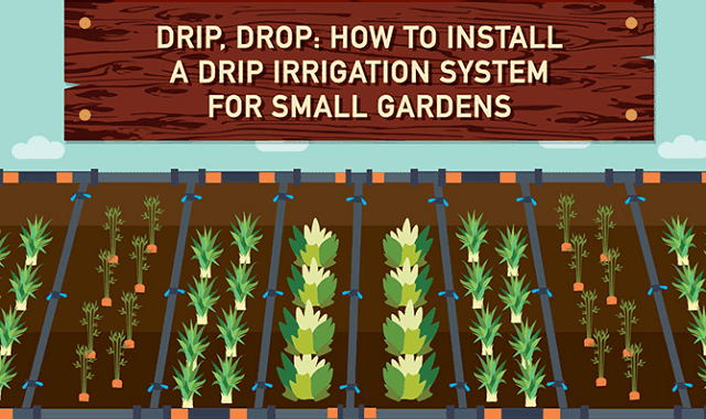 Drip, Drop: How to Install a Drip Irrigation System for Small Gardens