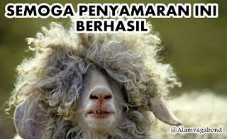 Kumpulan Gambar Meme DP BBM Gokil Idhul Adha Hari Kurban Terbaru 2018 Kumpulan Gambar Meme DP BBM Gokil Idhul Adha Hari Kurban Terbaru 2018