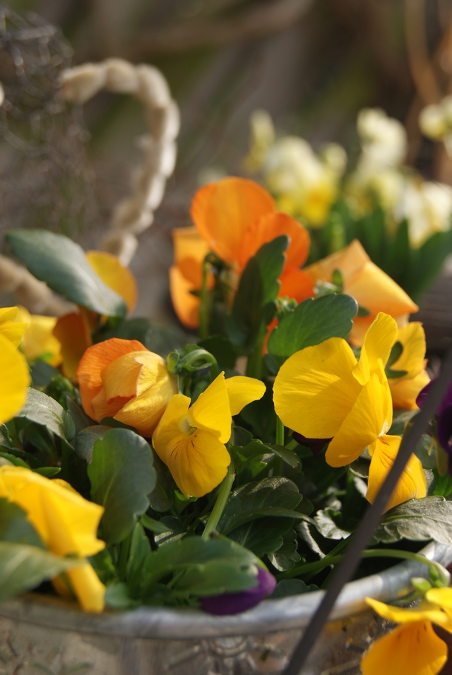 Filz Und Garten Gartenblog Osterdekoration In Gelb