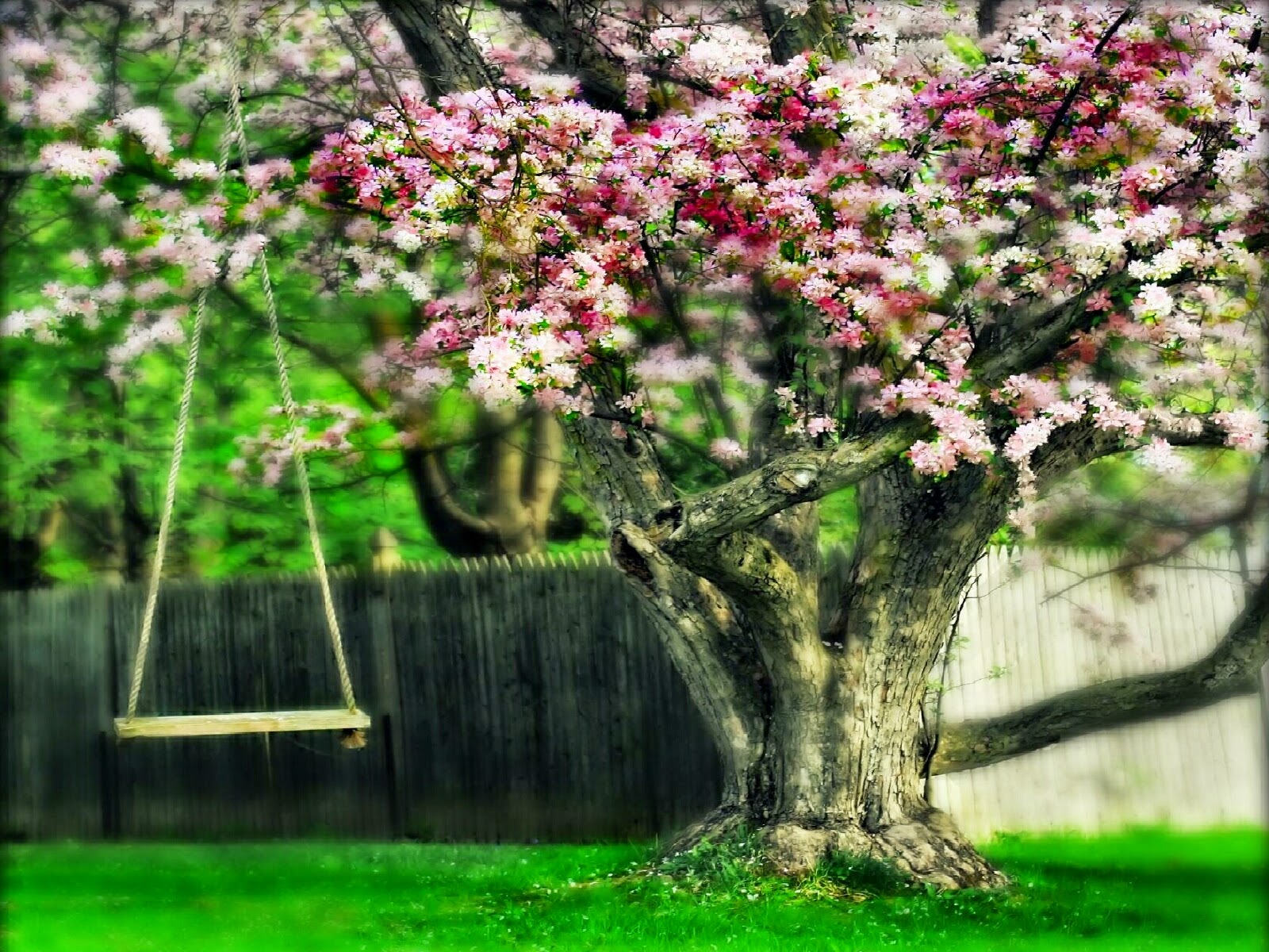 Wallpapersity: Latest Spring Full HD Wallpaers