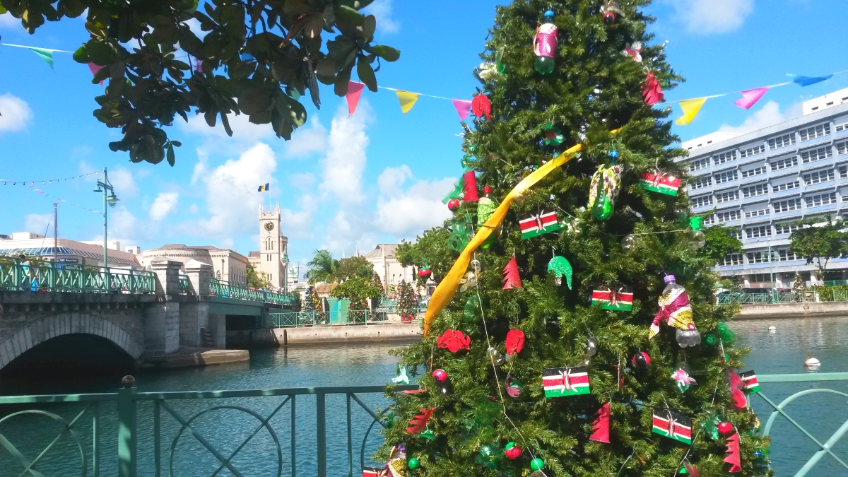 Barbados Christmas Trees