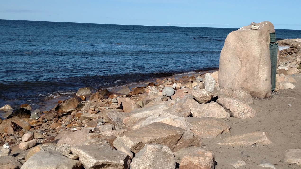 Thriving Nature In Photos Settlers Rock on Block Island