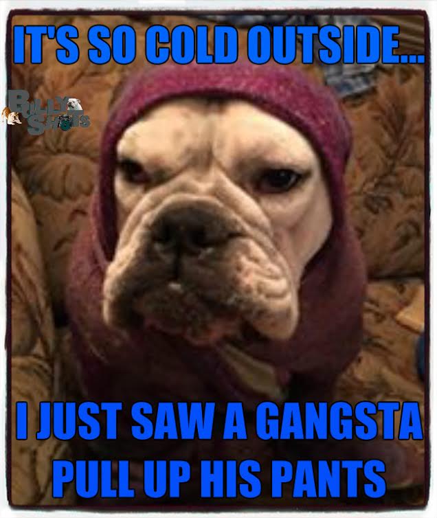 I love My Dog; Natural Pet Health,: English bulldog food; English bulldog allergies ; English