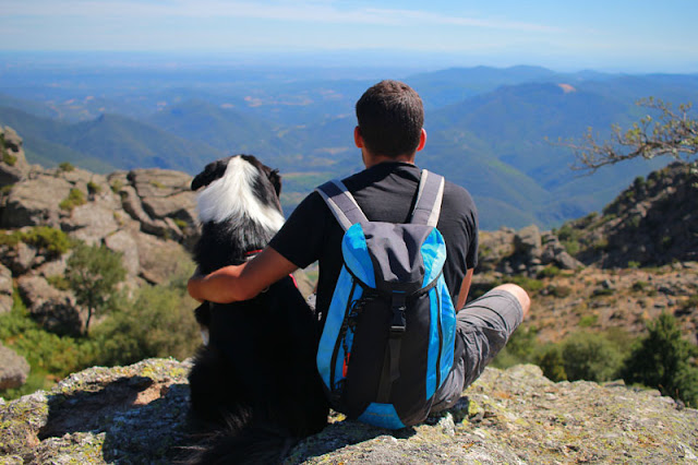 A man and his Australian Shepherd dog sit at a viewpoint