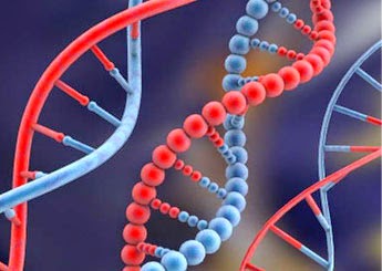 تحديد جينات جديدة ترفع خطر الاصابة بسرطان الثدي