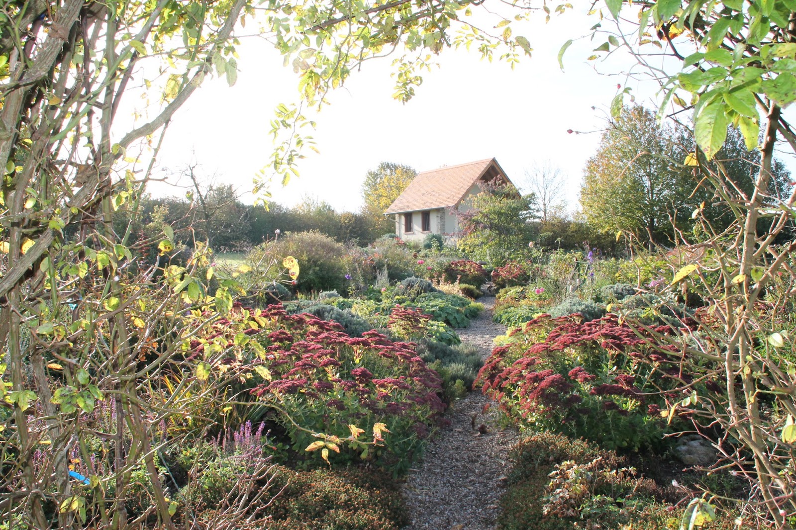Der Garten im November&hellip;.