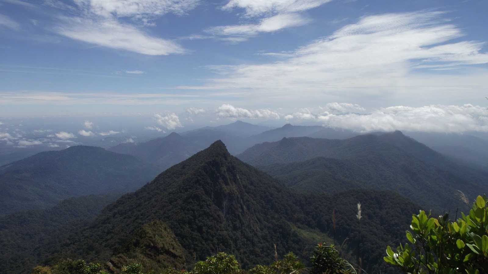 ANAK MERATUS: SYAHDI MERATUS: PEMANDU WISATA GUNUNG HALAU-HALAU