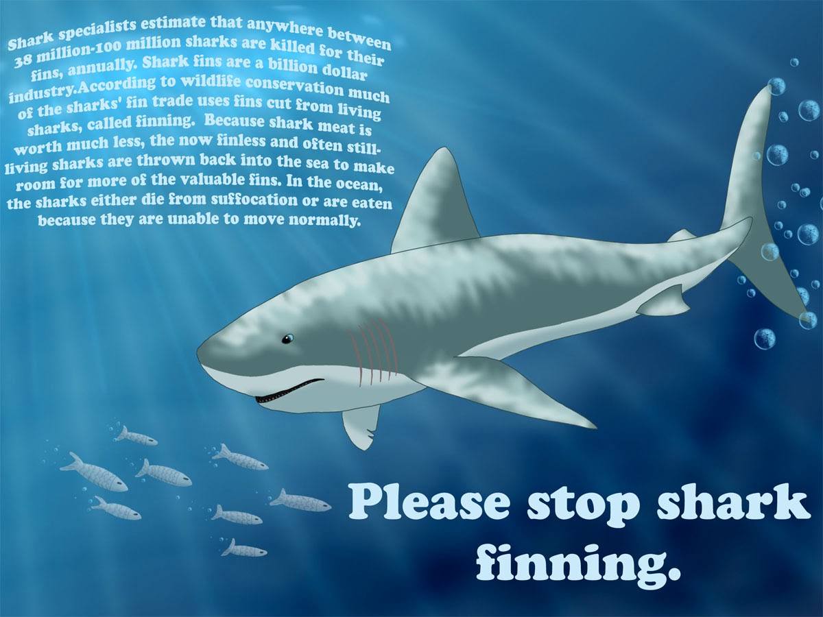 песенка baby shark. акула be free. челюсти животных силуэт. текст про акулу. Under the sea учеб по английскому.