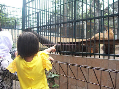 kebun binatang siantar