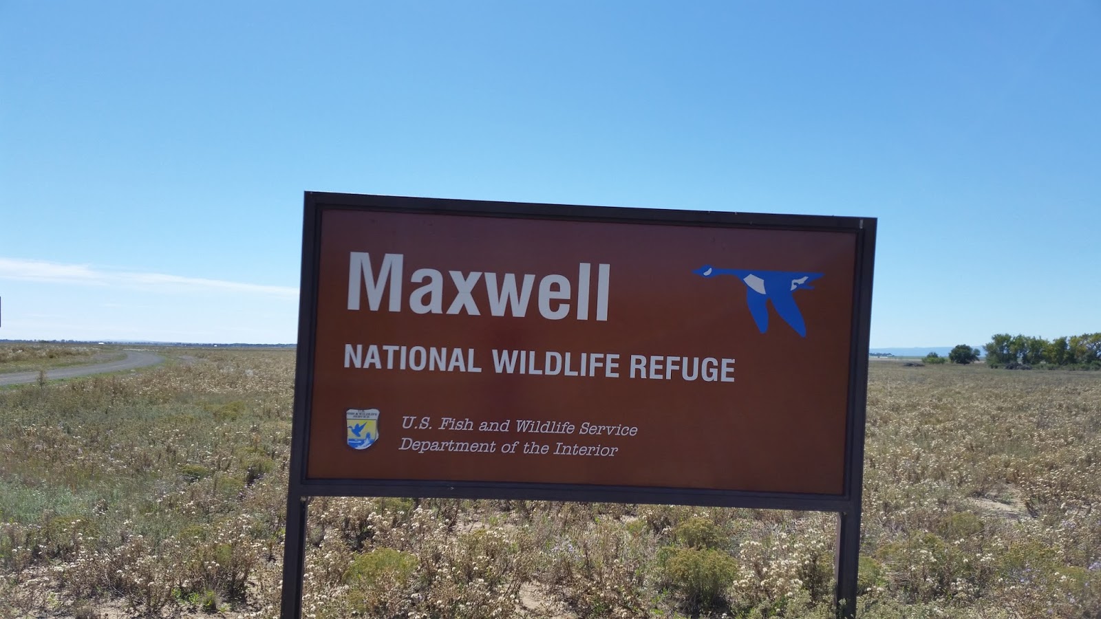 Tech-nically Homeless: Return to Maxwell National Wildlife Refuge