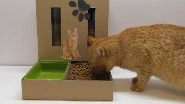 cat food advisor