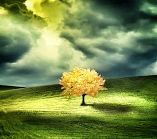 Alzheimer's Care and dementia care for the Alzheimer's community.