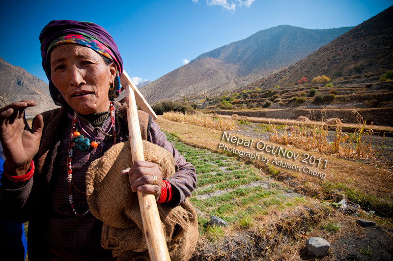 Thini Village, Jomsom