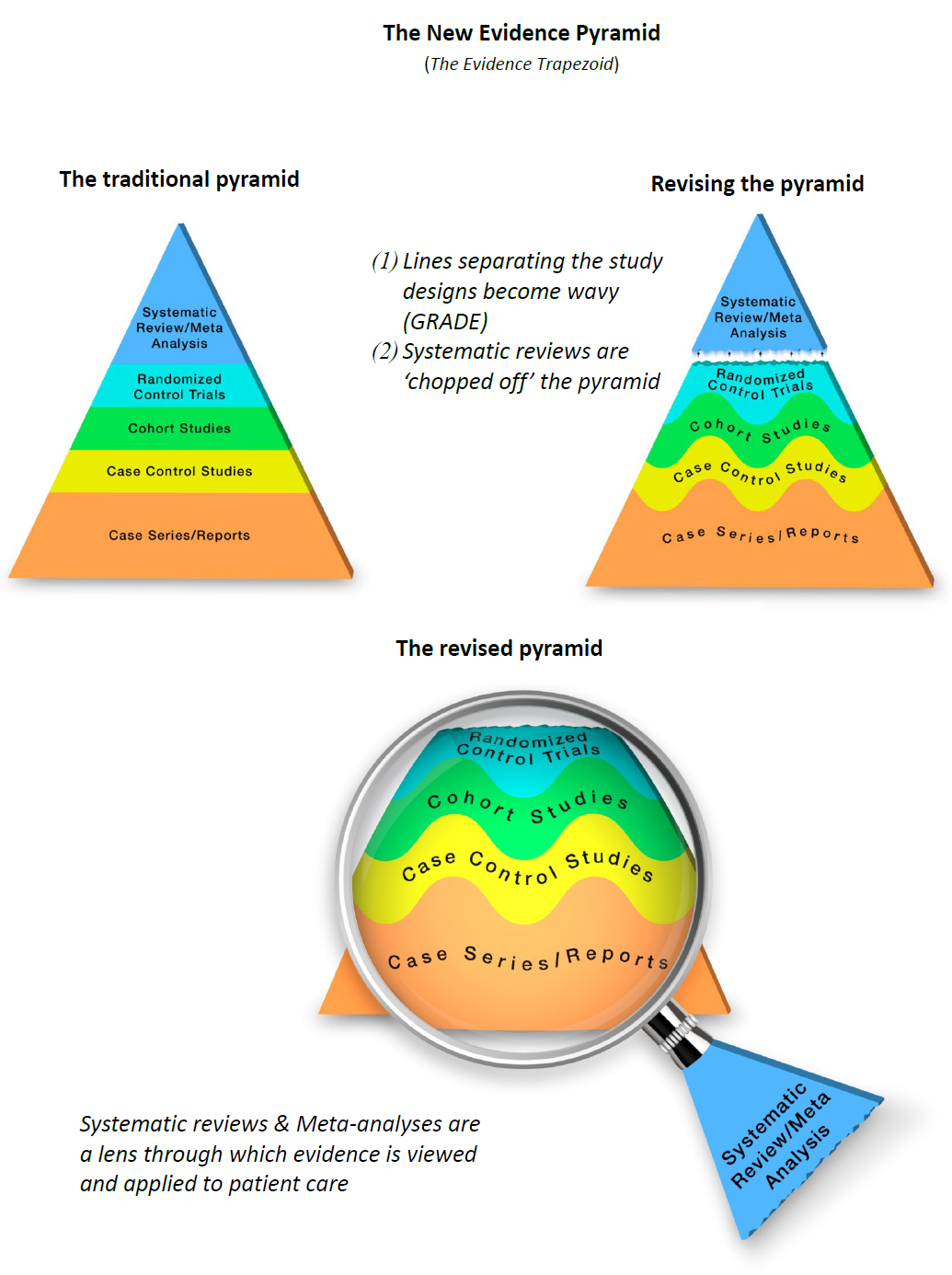 Hierarchy Of Scientific Evidence Pyramid