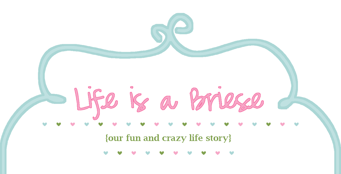 Life is a Briese