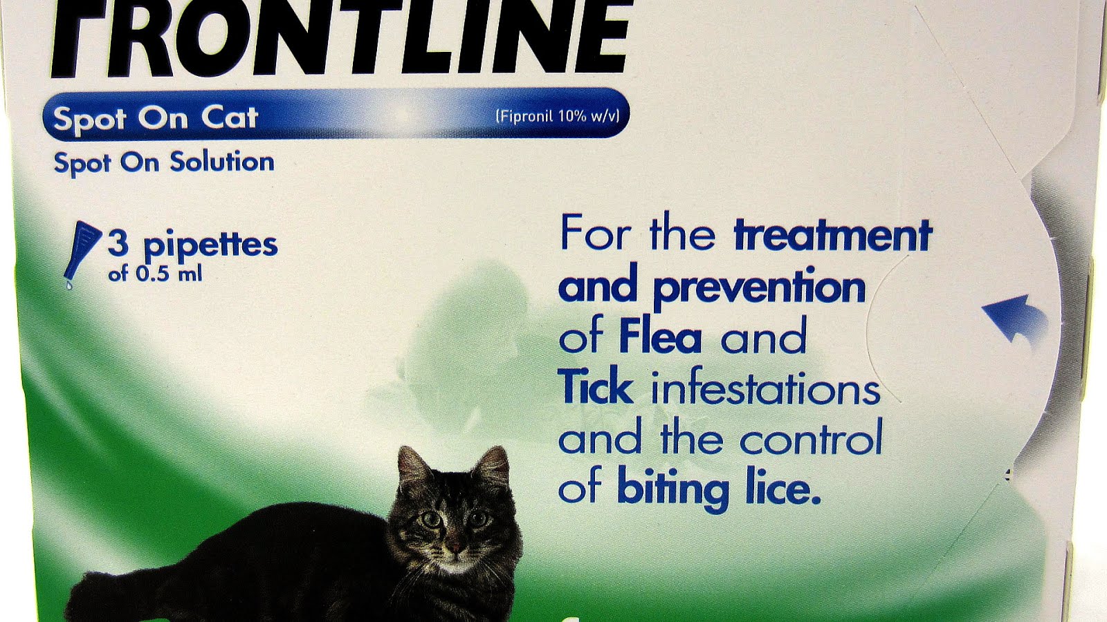 Cytauxzoonosis Cat Tick Treatment Cat Choices