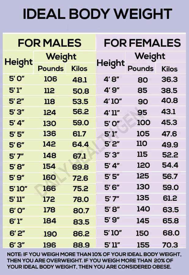 Accurate Weight Chart