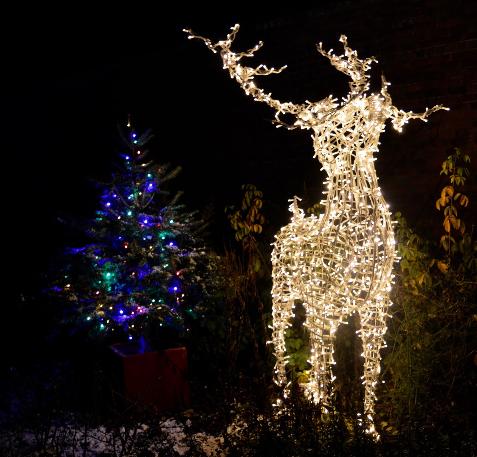 Winter Wonderland Christmas Light Show A Wynyard Hall Garden Event