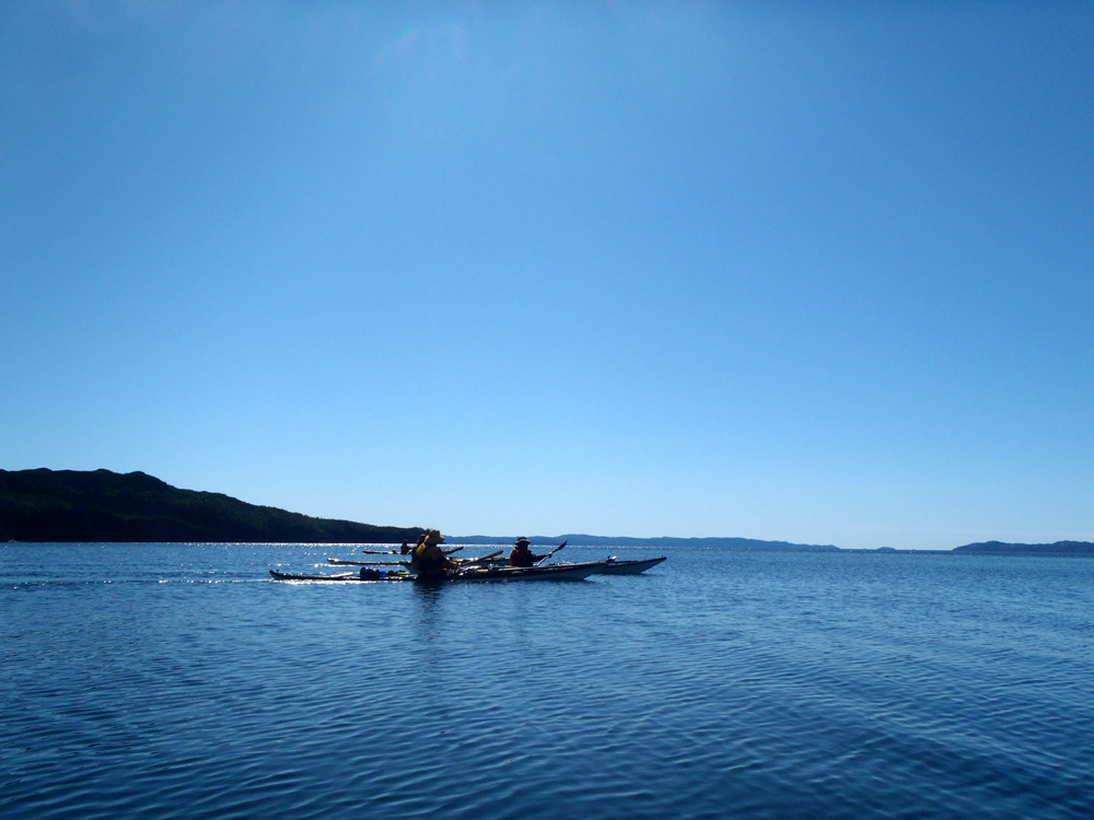My Newfoundland Kayak Experience Placentia Bay 2015 Is that you Clattice?