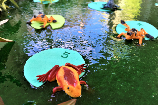 frogs on numbered lily pads in green slime