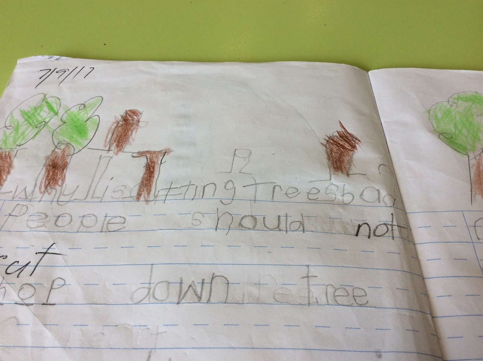 Room 2 St Patrick's School Why Is Cutting Down Trees Bad?