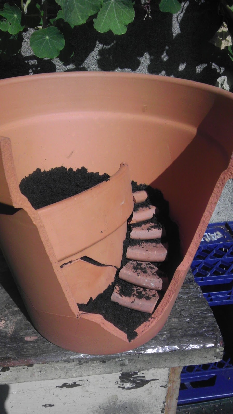 The Littlest Farm: Side Project : Broken Pot Garden