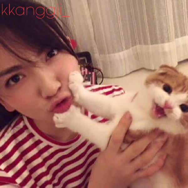 강지영네 고양이 | 인스티즈