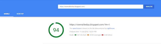 PageSpeed Insight Google Vienna Lite 2