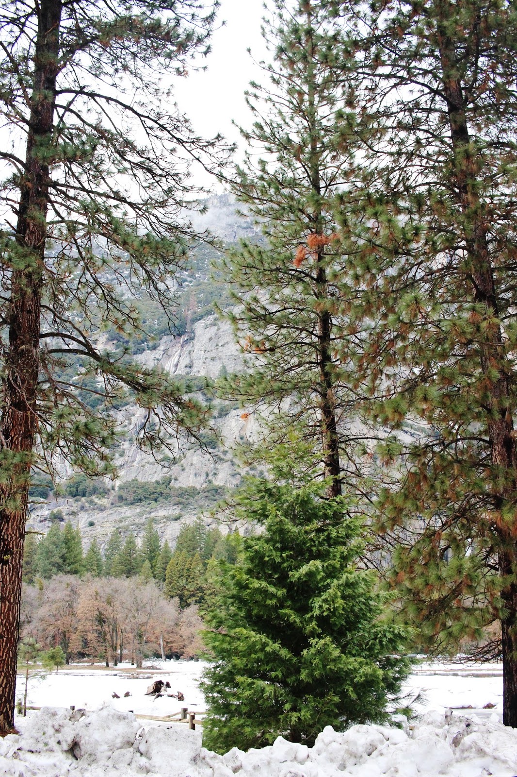 Yosemite park