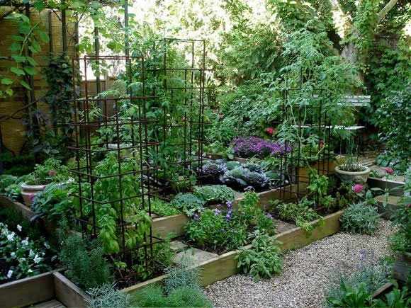 Southern Gardening and Food: Garden bed ideas