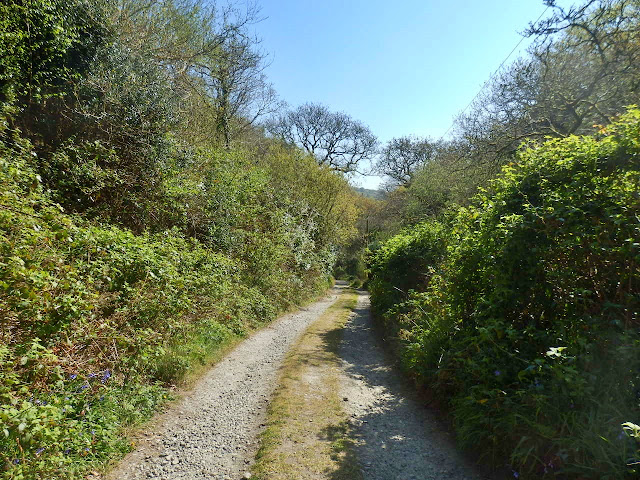 Narrow lane, Cornwall