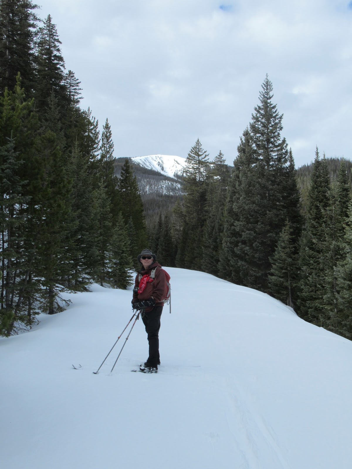 Half and Half Adventures Fraser Experimental Forest Crosscountry