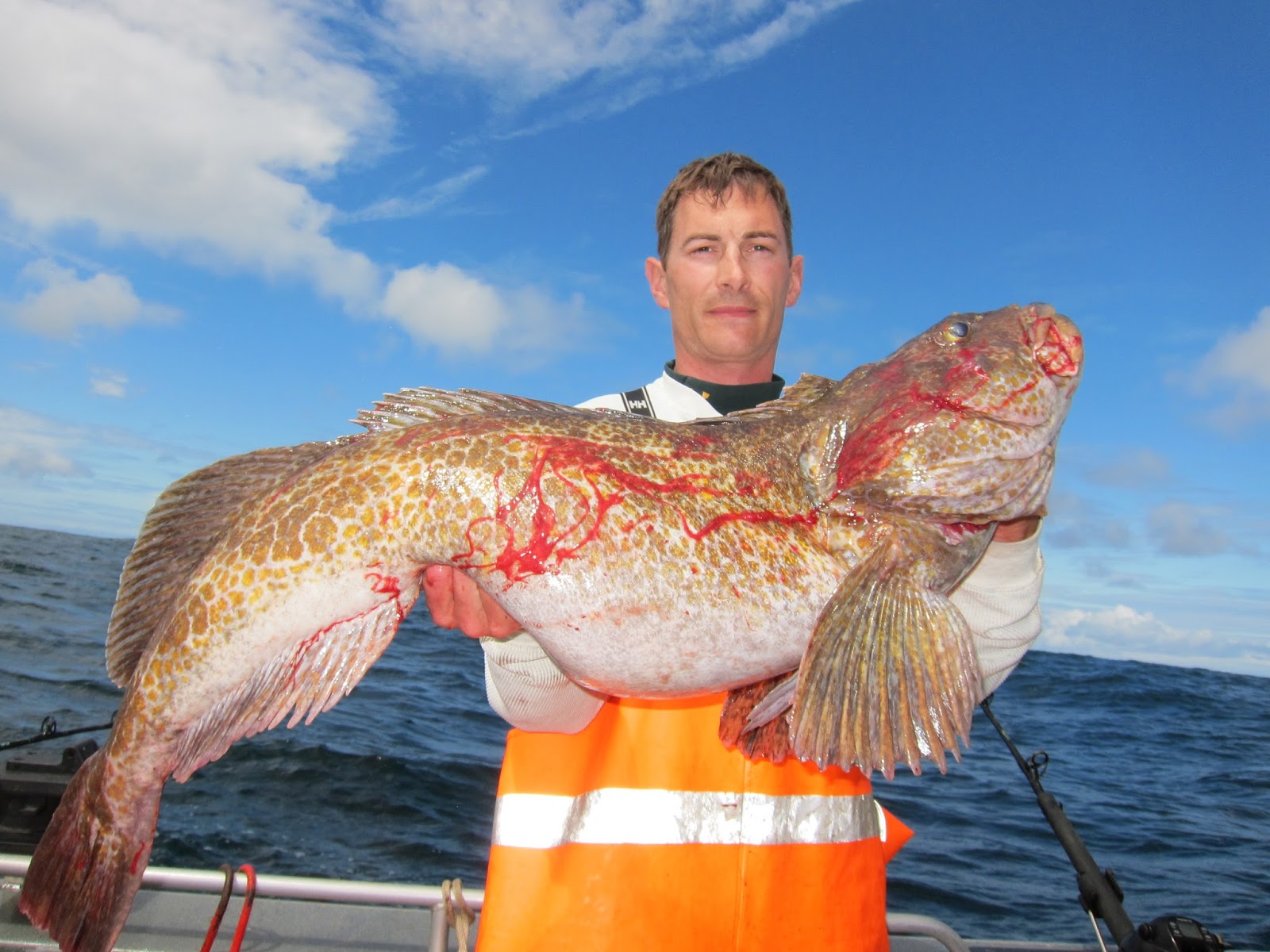 Todds Extreme Fishing Neah Bay halibut, Lingcod, and bottom fish