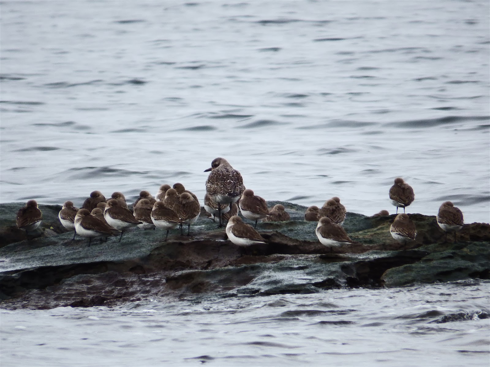 Wheelstogogo Travel Tales. Bells Landing Beach, Gabriola.