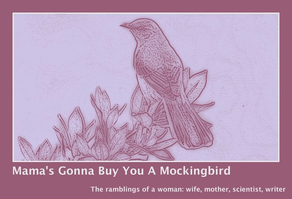 Mama's Gonna Buy You a Mockingbird
