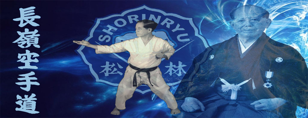 Okinawan Shorin-Ryu Blog 