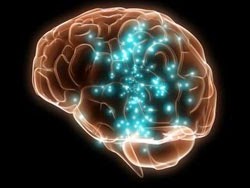النمو العقلي والمعرفي للمراهق Brain4