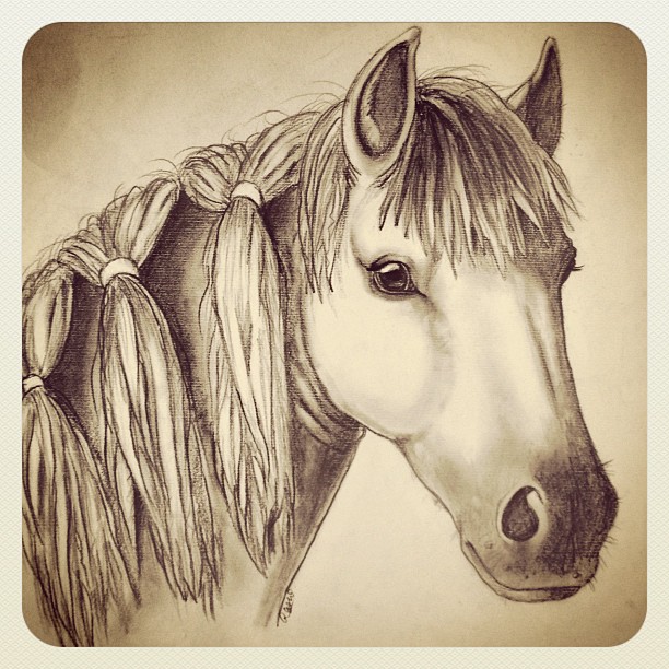 Rashi's Sketchblog: The pony with the ponies