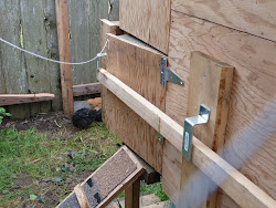 ramp chicken door chickies welcome