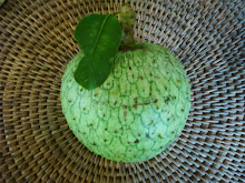 Guanabana Cimarrona