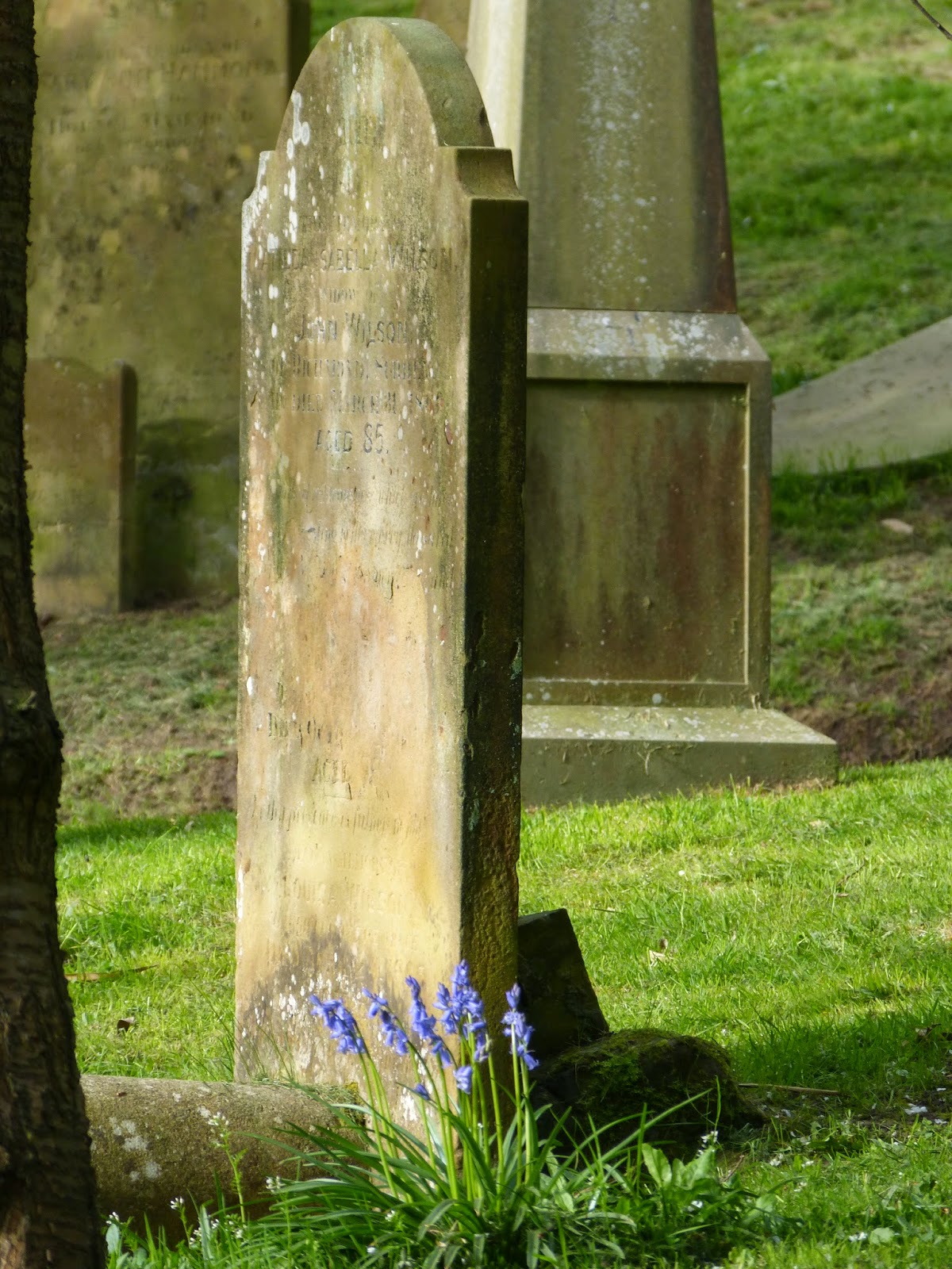 A Window to my Soul Grave Matters in Woodbury Park Cemetery