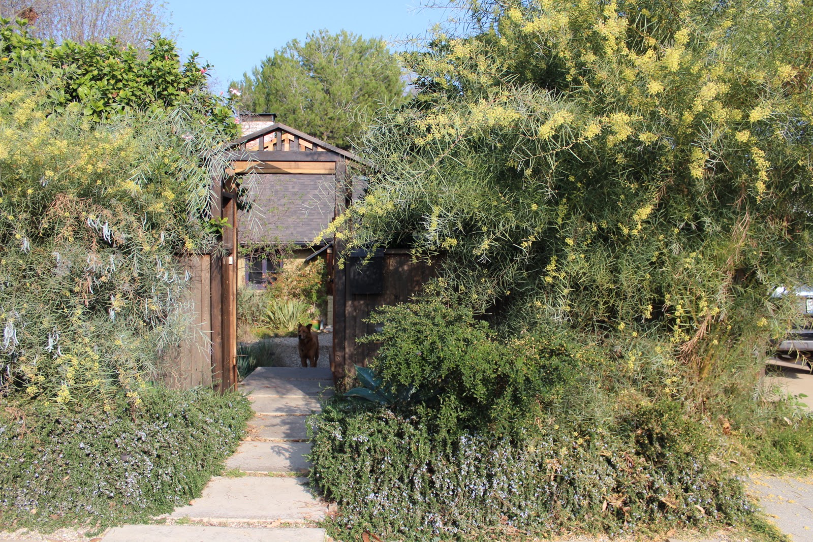 2018 Mar Vista Green Garden Showcase 3210 Kelton Avenue