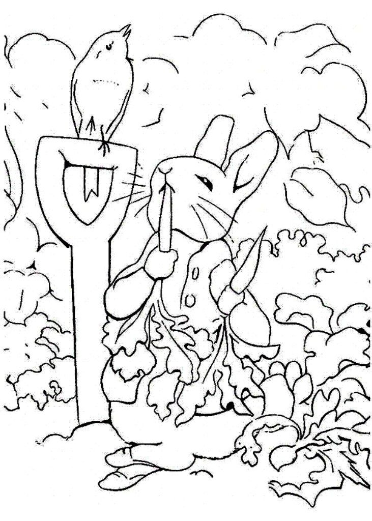 Sketsa