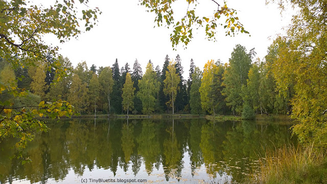 Colourful autumn by Lake Joutsenlampi, in Aulanko