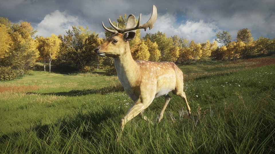 Gamebakudon theHunter Call of The Wild Review