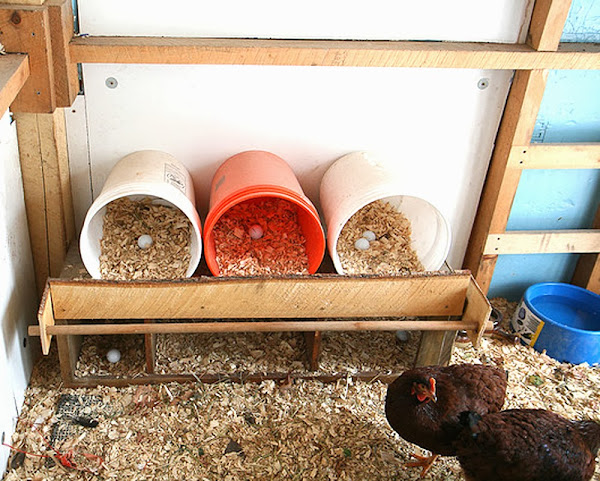 chicken coop, nest boxes, nest boxes for hens, build nest boxes