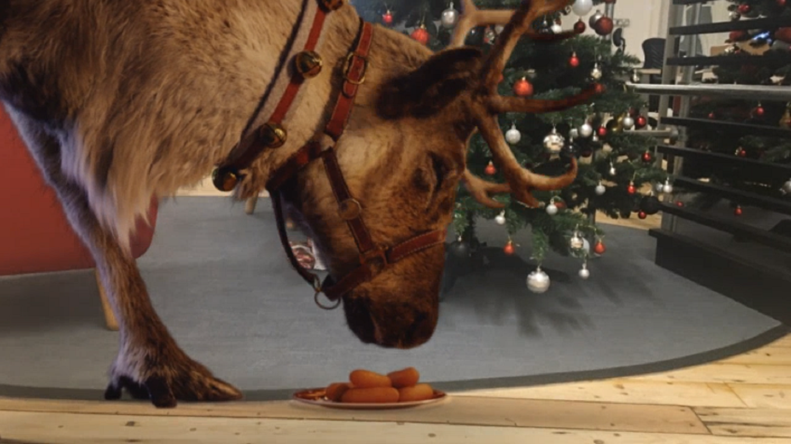 Ahora los padres pueden grabar a Rodolfo comiendo zanahorias en su